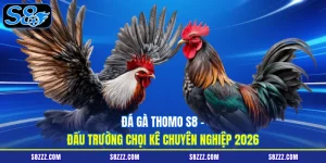 Đá gà Thomo